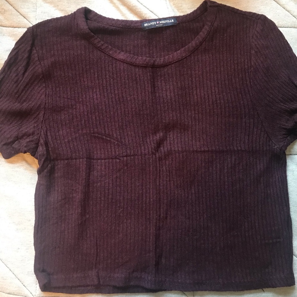 Brandy Melville crop top
